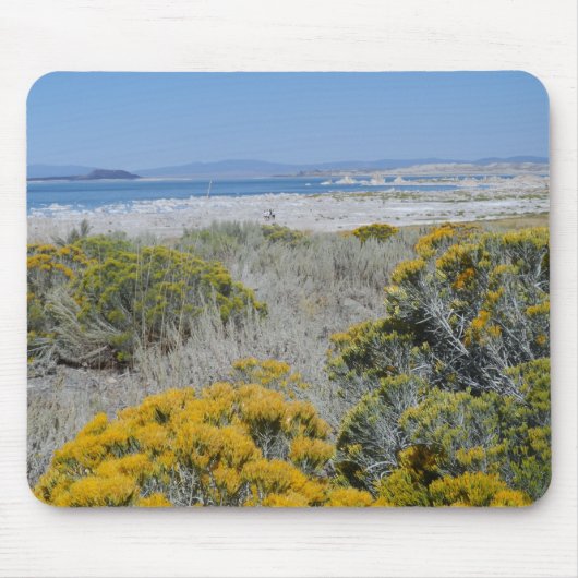 Mono Lake, CA Muismat (Voorkant)