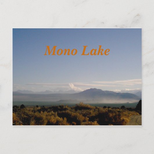 Mono Lake poastcard Briefkaart (Voorkant)