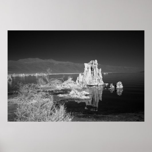 Mono Lake Poster (Voorkant)