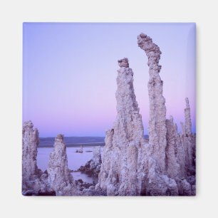 Mono Lake Reserve. Californië. VS. Tufa Magneet