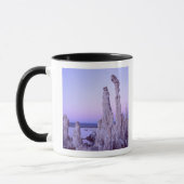 Mono Lake Reserve. Californië. VS. Tufa Mok (Links)