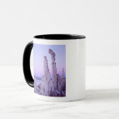 Mono Lake Reserve. Californië. VS. Tufa Mok (Voorkant links)