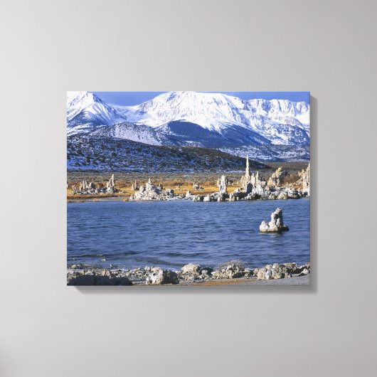 MONO LAKE TUFA STATE NATURAL RESERVE, CANVAS AFDRUK (Voorkant)