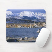 MONO LAKE TUFA STATE NATURAL RESERVE, MUISMAT (Met muis)