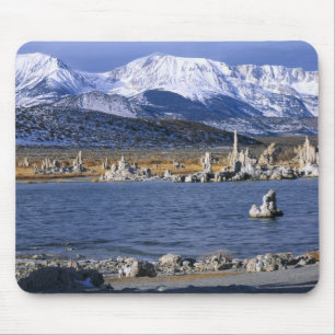 MONO LAKE TUFA STATE NATURAL RESERVE, MUISMAT