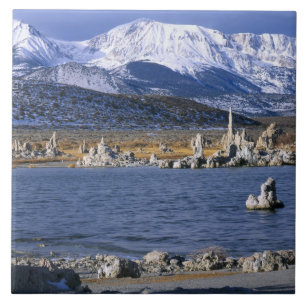 MONO LAKE TUFA STATE NATURAL RESERVE, TEGELTJE