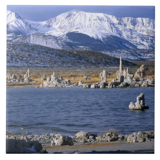 MONO LAKE TUFA STATE NATURAL RESERVE, TEGELTJE (Voorkant)