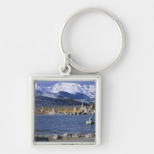 MONO LAKE TUFA STATE NATUURRESERVAAT, SLEUTELHANGER