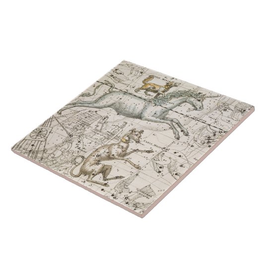 Monoceros, van 'A Celestial Atlas', pub. in 1822 Tegeltje (Zijkant)