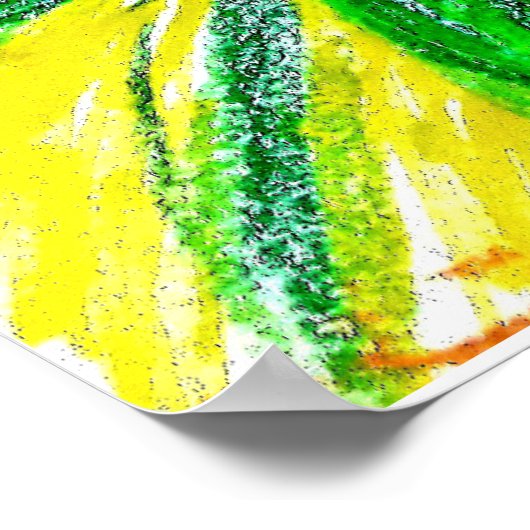 Monochromatic, Rosas, Dianthus caryophyllus, Gerb Poster (Hoek)