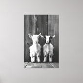 Monochromatische Portret van Twee Baby Geiten Canvas Afdruk (Voorkant)