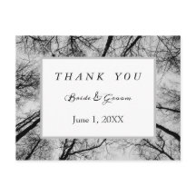 Monochromatische treetops bedankt