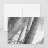 Monochrome Bamboe Briefkaart (Voorkant / Achterkant)