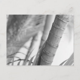 Monochrome Bamboe Briefkaart