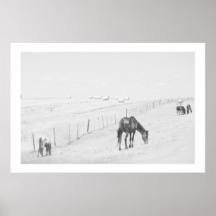 Monochrome Black White Rural Landscape Wilde Paard Poster