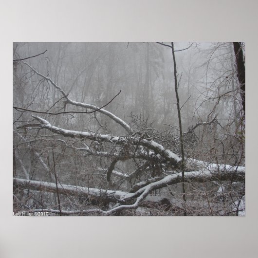 "Monochrome blizzard" Poster van sneeuwStorm (Voorkant)