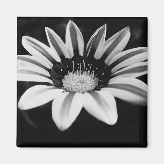 Monochrome bloemkunst magneet (Voorkant)