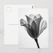 Monochrome botanical fine art photograph briefkaart (Voorkant / Achterkant)