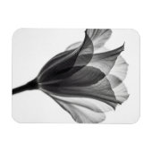 Monochrome botanical fine art photograph magneet (Horizontaal)