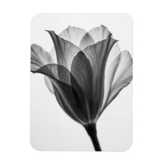 Monochrome botanical fine art photograph magneet
