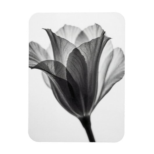 Monochrome botanical fine art photograph magneet (Verticaal)