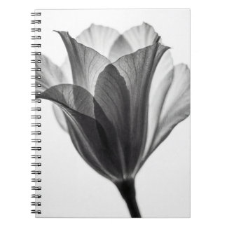 Monochrome botanical fine art photograph notitieboek