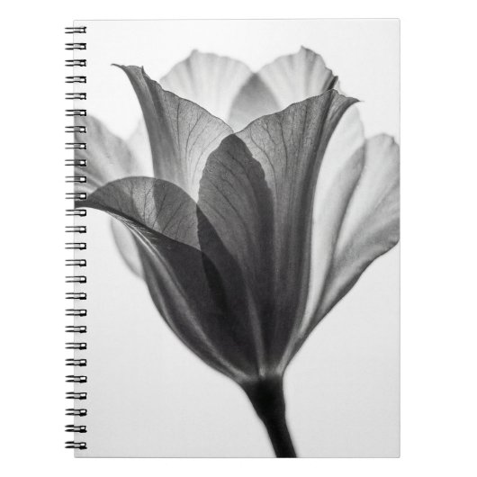 Monochrome botanical fine art photograph notitieboek (Voorkant)