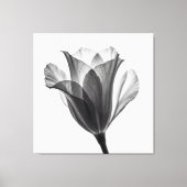 Monochrome botanische fijne kunst foto canvas afdruk (Voorkant)
