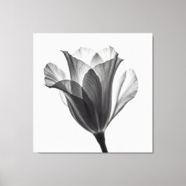 Monochrome botanische fijne kunst foto canvas afdruk