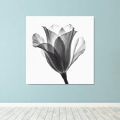 Monochrome botanische fijne kunst foto canvas afdruk (Insitu (Houten vloer))