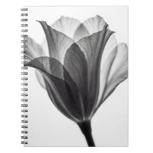 Monochrome botanische fijne kunst foto notitieboek