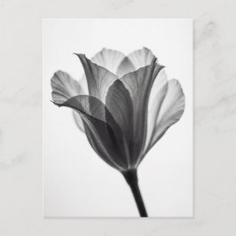 Monochrome botanische fijne kunst fotografie briefkaart