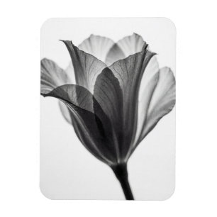 Monochrome botanische fijne kunst fotografie magneet
