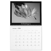 Monochrome Cacti 2016 Kalender (Jan 2026)