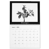 Monochrome Cacti 2025 Kalender (Mar 2026)