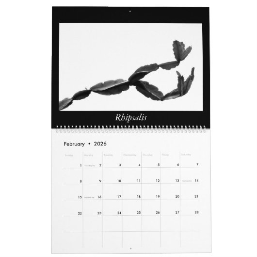 Monochrome Cacti 2025 Kalender (Feb 2026)