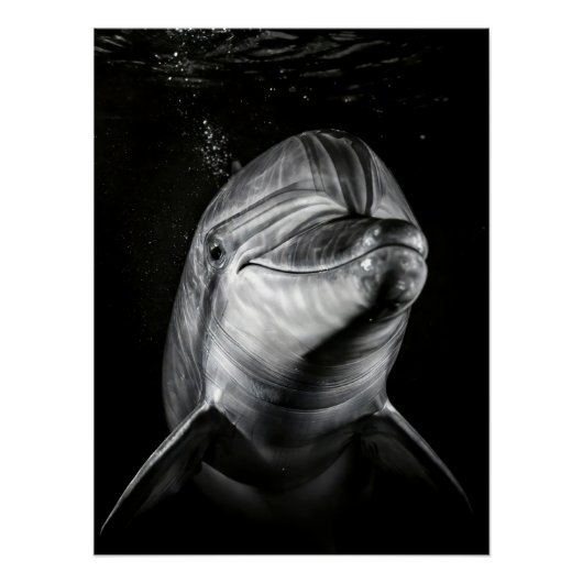 Monochrome Dolphin Portrait - Underwater Marine A Perfect Poster (Voorkant)