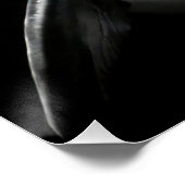 Monochrome Dolphin Portrait - Underwater Marine A Perfect Poster (Hoek)