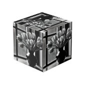 Monochrome elegantie: zwart witte tulp stilleven kubus (Achter hoekig)