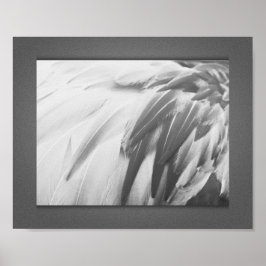 Monochrome Flamingo Feathers Printable Art Poster