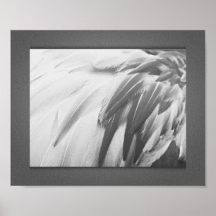 Monochrome Flamingo Feathers Printable Art Poster