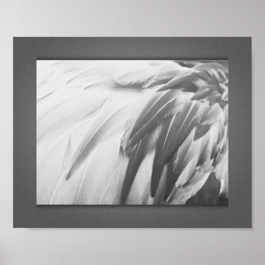 Monochrome Flamingo Feathers Printable Art Poster (Voorkant)