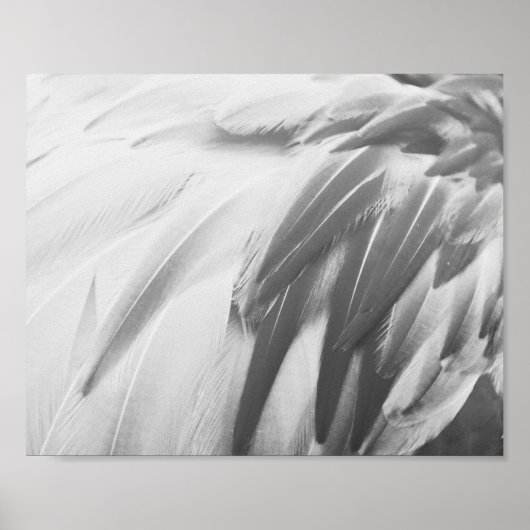 Monochrome Flamingo Feathers Printable Art Poster (Voorkant)