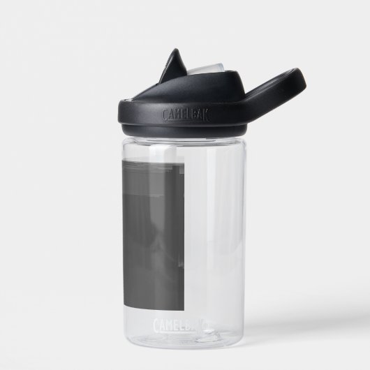 monochrome glitch waterfles (Links)