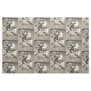 Monochrome heks volle maan vleermuis bezem stof