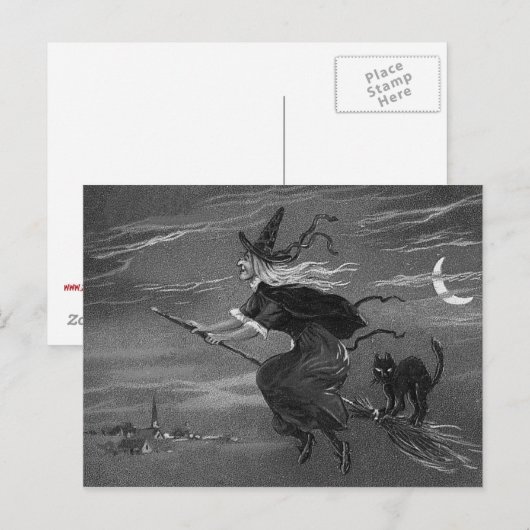 Monochrome Heksenbezem Zwarte Kat Briefkaart (Voorkant / Achterkant)