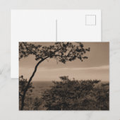 Monochrome landschapsfoto briefkaart (Voorkant / Achterkant)