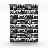 Monochrome majesteit: een Highland Koe fotocollage Fotoblokken (Voorkant)