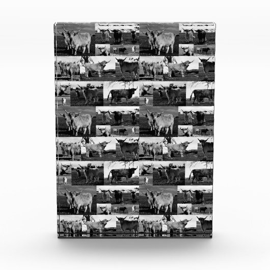 Monochrome majesteit: een Highland Koe fotocollage Fotoblokken (Voorkant)