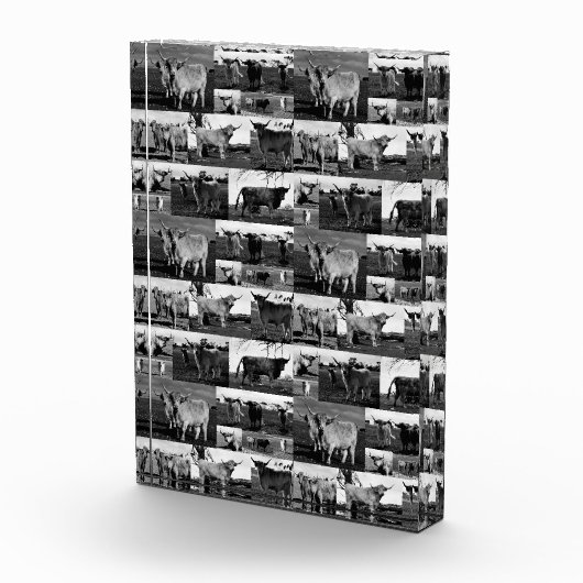 Monochrome majesteit: een Highland Koe fotocollage Fotoblokken (Rechts)